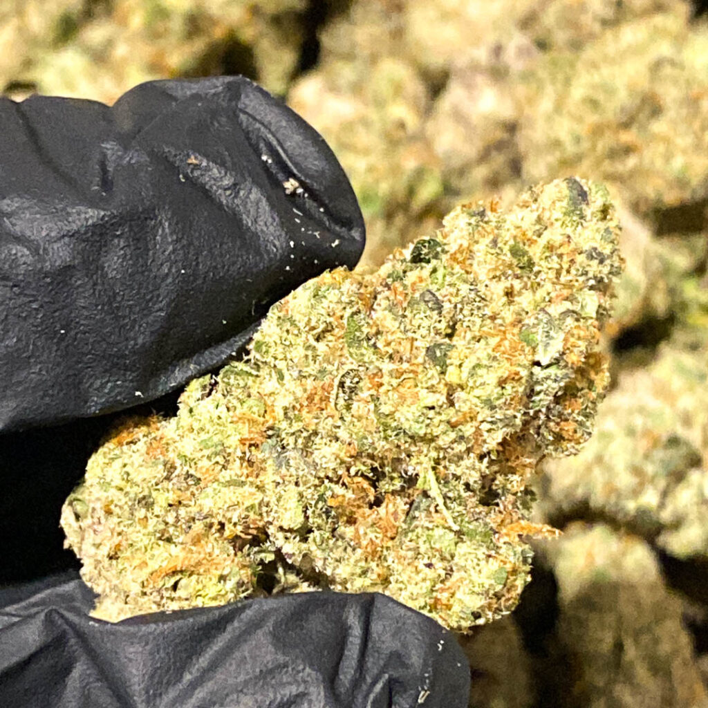Cannabis Flower