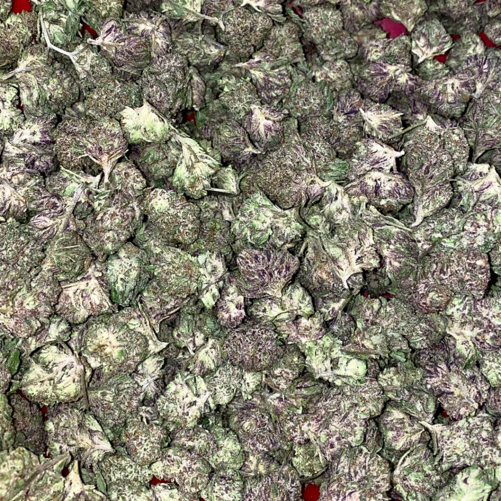 harvested marijuana bud with a dark green hue to it