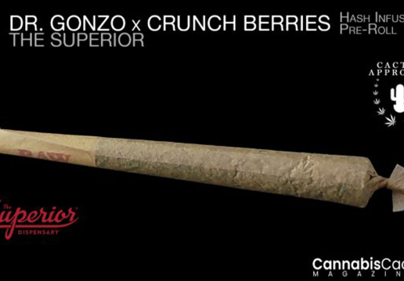 A promotional flyer for a hash infused pre roll
