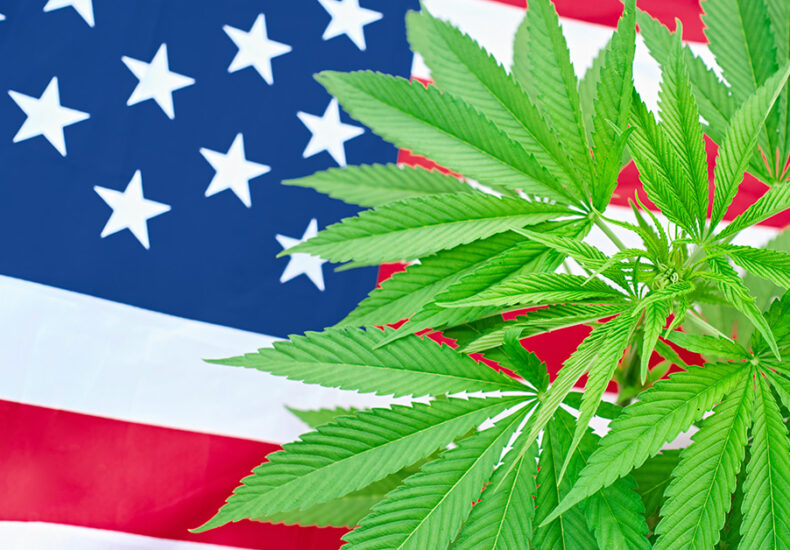 the American flag with marijuana leaves on it