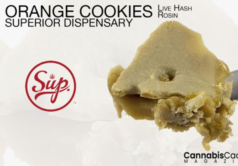 a promotional flyer for live hash rosin
