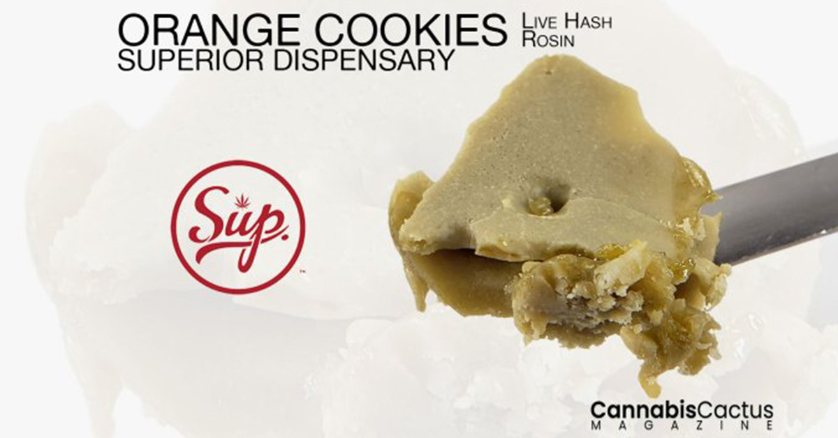 a promotional flyer for live hash rosin