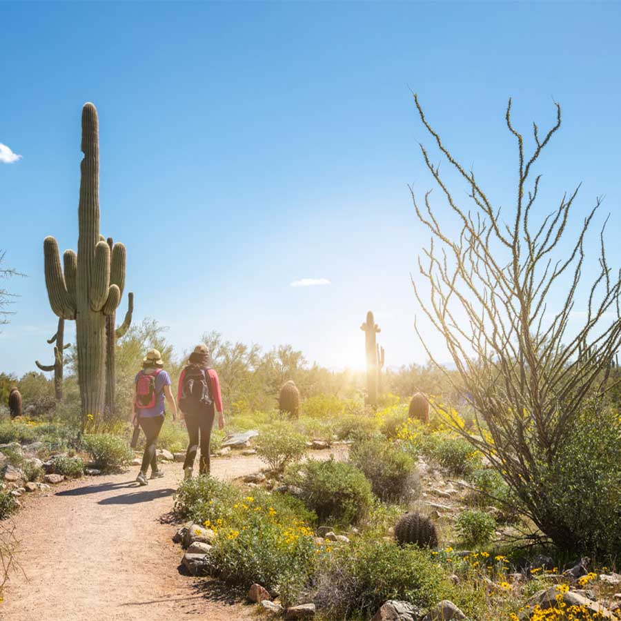 Why-We-Love-Phoenix-az-02
